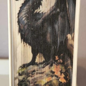 18 Dragon Photo Strip Pattern, Fore-Edge Book Art, Birthday, Thank You, Retirement, Centerpiece