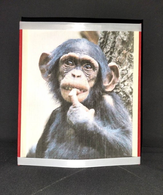 Monkey 101 Photo Strip Pattern, Fore-edge Book Art, Monkey, Thank