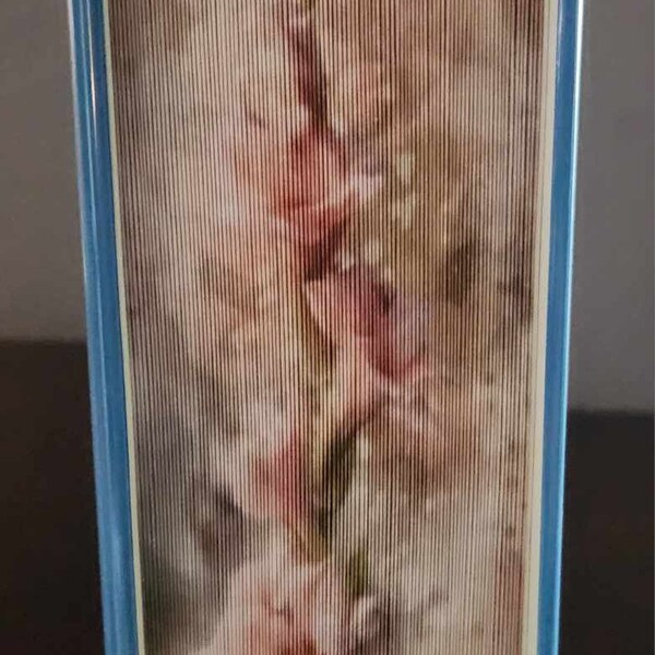 Pink Blooms 3C Narrow Photo Strip Pattern, Fore-Edge Book Art, Birthday, Retirement, Thank You, Housewarming, Centerpiece, Fund Raiser