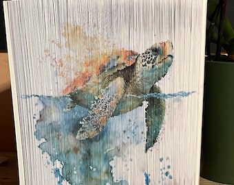 Tortue 11 po. Bandes d'art en bande photo aquarelles, art du livre premier plan, tortues, aquarelles