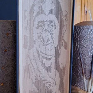 Patrón de plegado de libro con sombras de chimpancés, primates, monos, selva, agradecimiento, cumpleaños, centro de mesa, mostrador de recepción, premio de la puerta, rifa