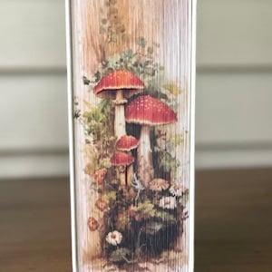 May include: A book with a folded paper cover featuring a close-up image of red and white mushrooms in a forest setting.