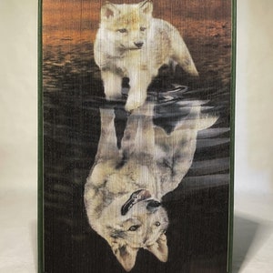 May include: A book with a white wolf pup on the cover. The pup is standing on a dark brown background with a reflection of the pup upside down in the water.