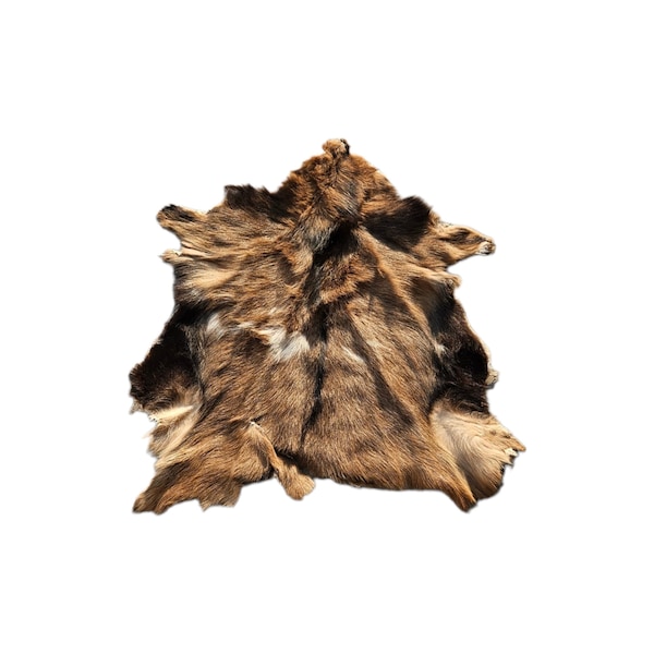 Dutch XL Goat hide rug, individually photographed. Professional tanned.