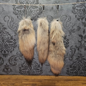 soft tanned clip on coyote tail keychain, suitable for cosplay.