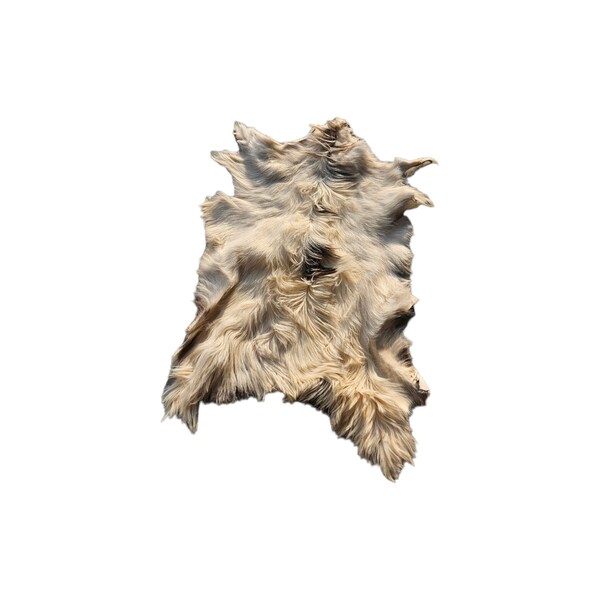 Dutch XL Goat hide rug, individually photographed. Professional tanned.