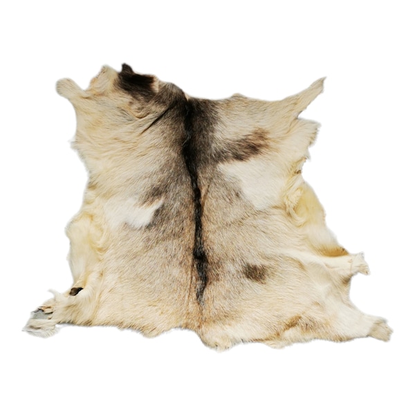 Dutch XL Goat hide rug, individually photographed. Professional tanned.