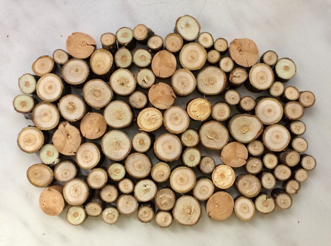 100 Wood Slices Bulk Tree Slices Small Wood Slices Etsy UK