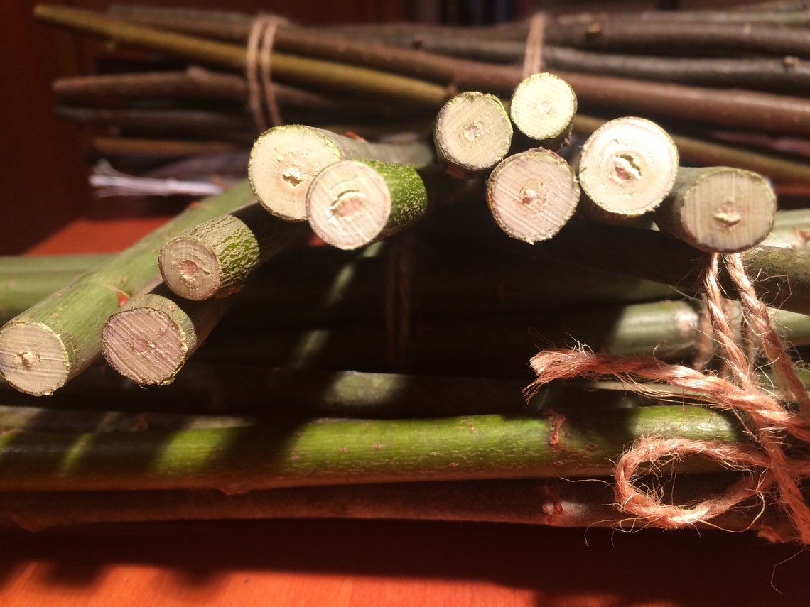 10 Willow Sticks 25 cm Wooden Sticks Willow Sticks Dry Tree Etsy