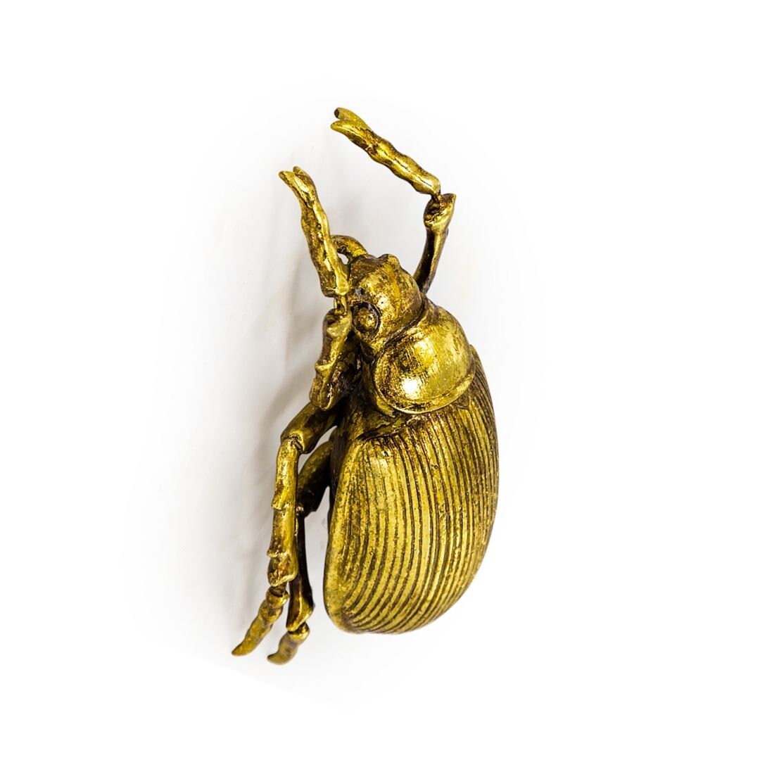 Antique Gold Wall Hanging Decorative Beetles Etsy UK