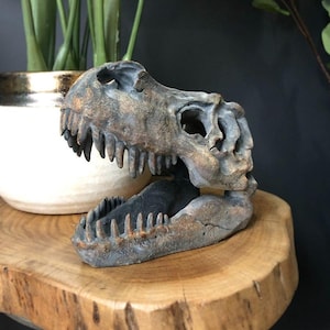 T-Rex Skull Table Ornament 16x12x20cm