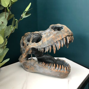 Large Tyrannosaurus Wall Head