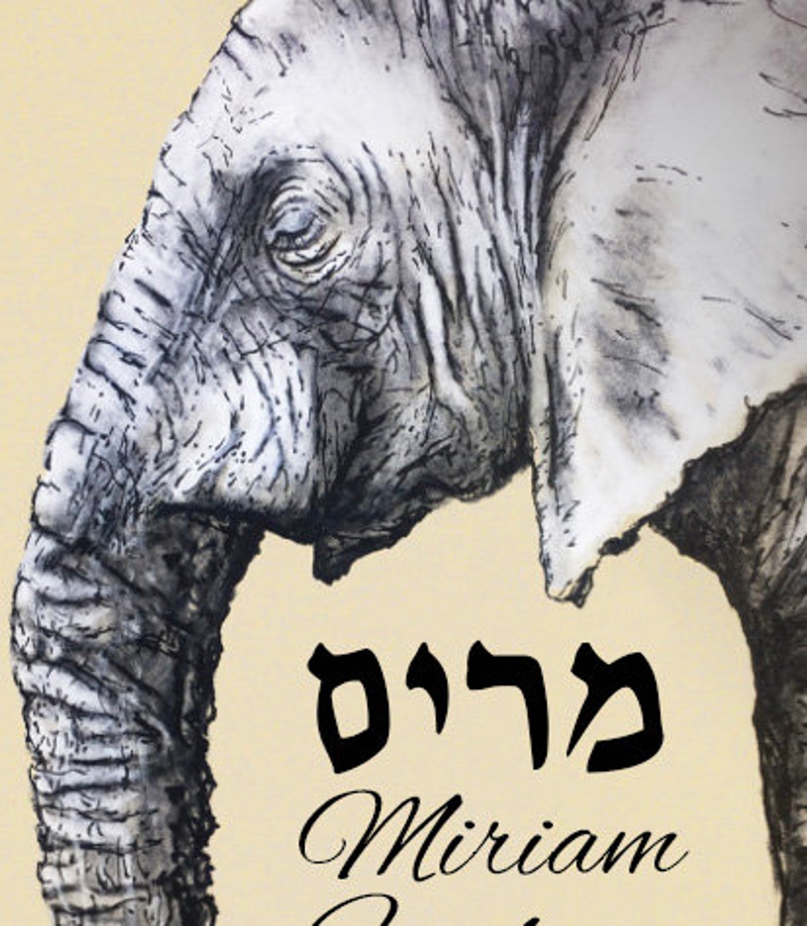 Hebrew Baby Naming Framed Elephant Baby Celebration Art Etsy