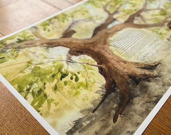 Live Oak Ketubah: Archival Fine Art Print, Windthrow