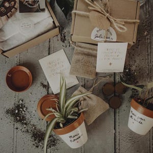 Pflanzset für Lehrer, Kindermädchen, ATSEM, Geschenkbox zum Jahresende, Danke Lehrer, Danke Kindermädchen, ATSEM, Lehrer, Ende des Schuljahres