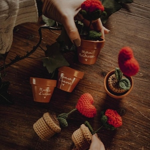 Op de afbeelding: Handgemaakte terracotta potten met gehaakte bloemen en harten. Sommige potten hebben witte tekst. De bloemen en harten zijn rood, met groene bladeren. Op een houten oppervlak.