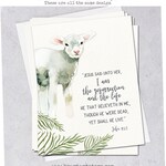 Passover Greeting Cards