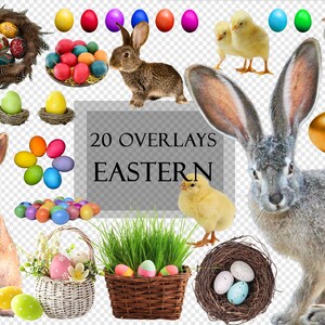 20 superposiciones de Pascua: huevos de Pascua, canasta de Pascua, conejito de Pascua, pollito de Pascua, conejo, pollito, con fondo transparente, scrapbooking, Instasticker, PNG