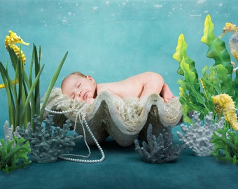 Fairytale underwater world background digital with a big shell and seahorse, for newborn babies and children, photography, mermaid