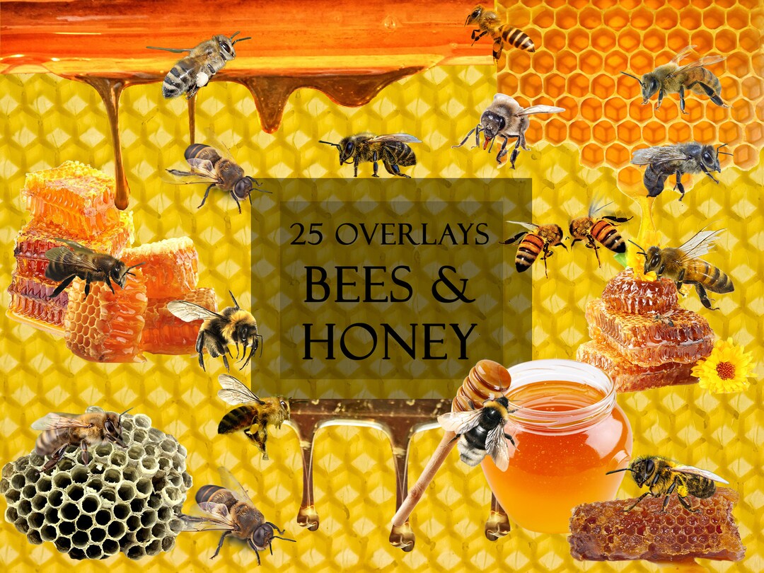25 Overlays Bees and Honey Honeycomb Dripping Honey Image - Etsy