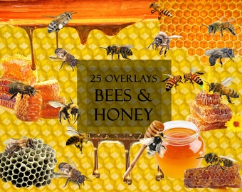 25 overlays bees and honey, honeycomb, dripping honey, image editing, scrapbooking, card, flyer, label design, photo compositing