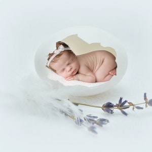 digital background for baby photography, baby in egg with lavender and feathers, for newborn, photography, eastern