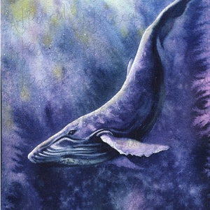 Big Blue Whale humpback whale Watercolor Whale Painting Whale Print Whale Painting whale lover gift Whale Art whale artwork ocean painting image 5