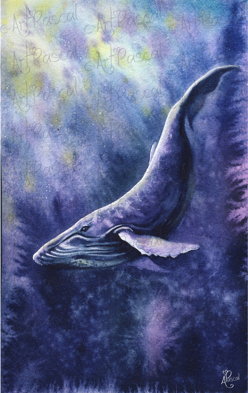 Big Blue Whale humpback whale Watercolor Whale Painting Whale Print Whale Painting whale lover gift Whale Art whale artwork ocean painting image 5