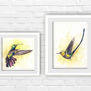 colibri HUMMINGBIRDS Watercolor Bird Print Hummingbird Painting  flying hummingbird Art HUMMER Painting gift for grandma mother&#39;s day gift
