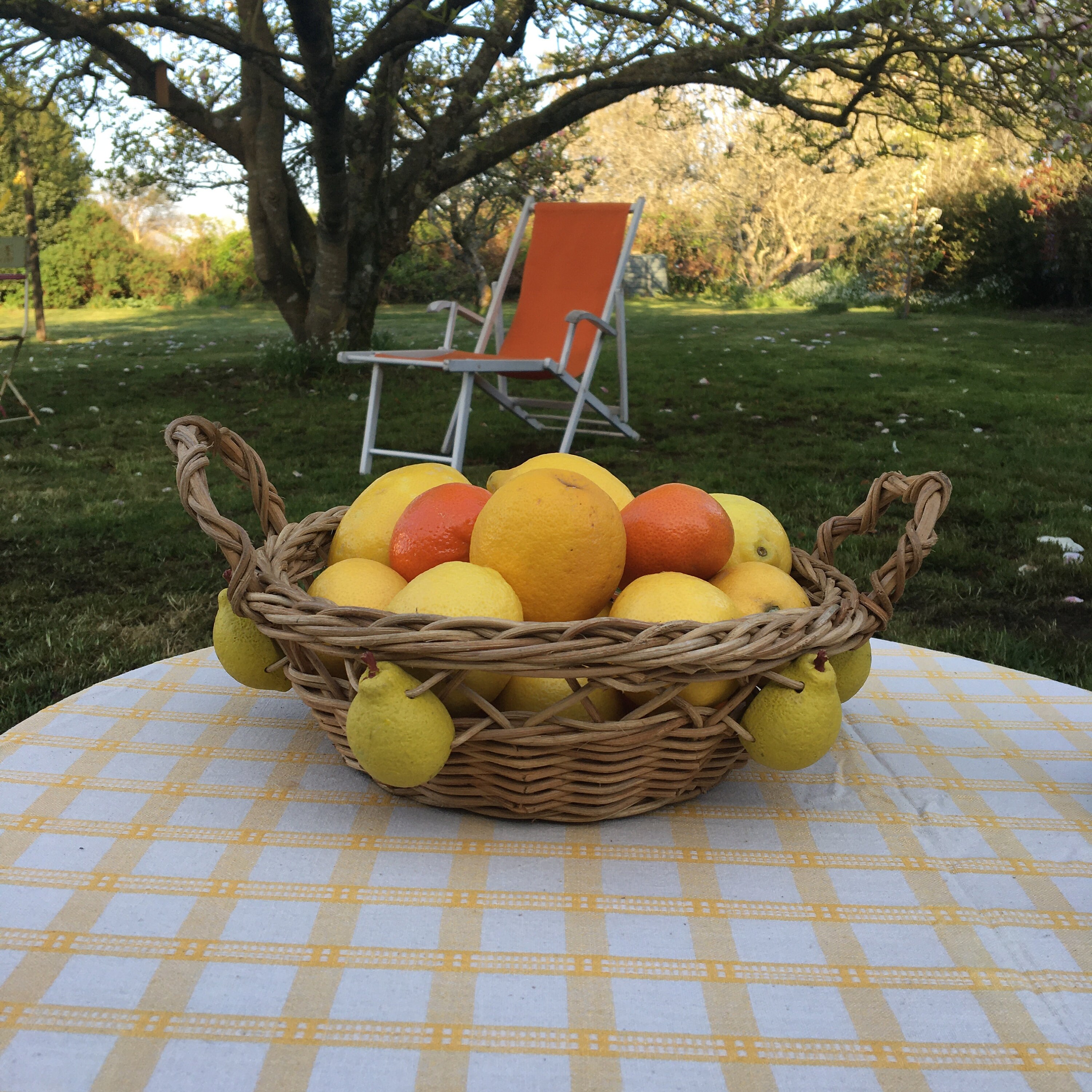 Corbeille à Fruit Vintage en Osier