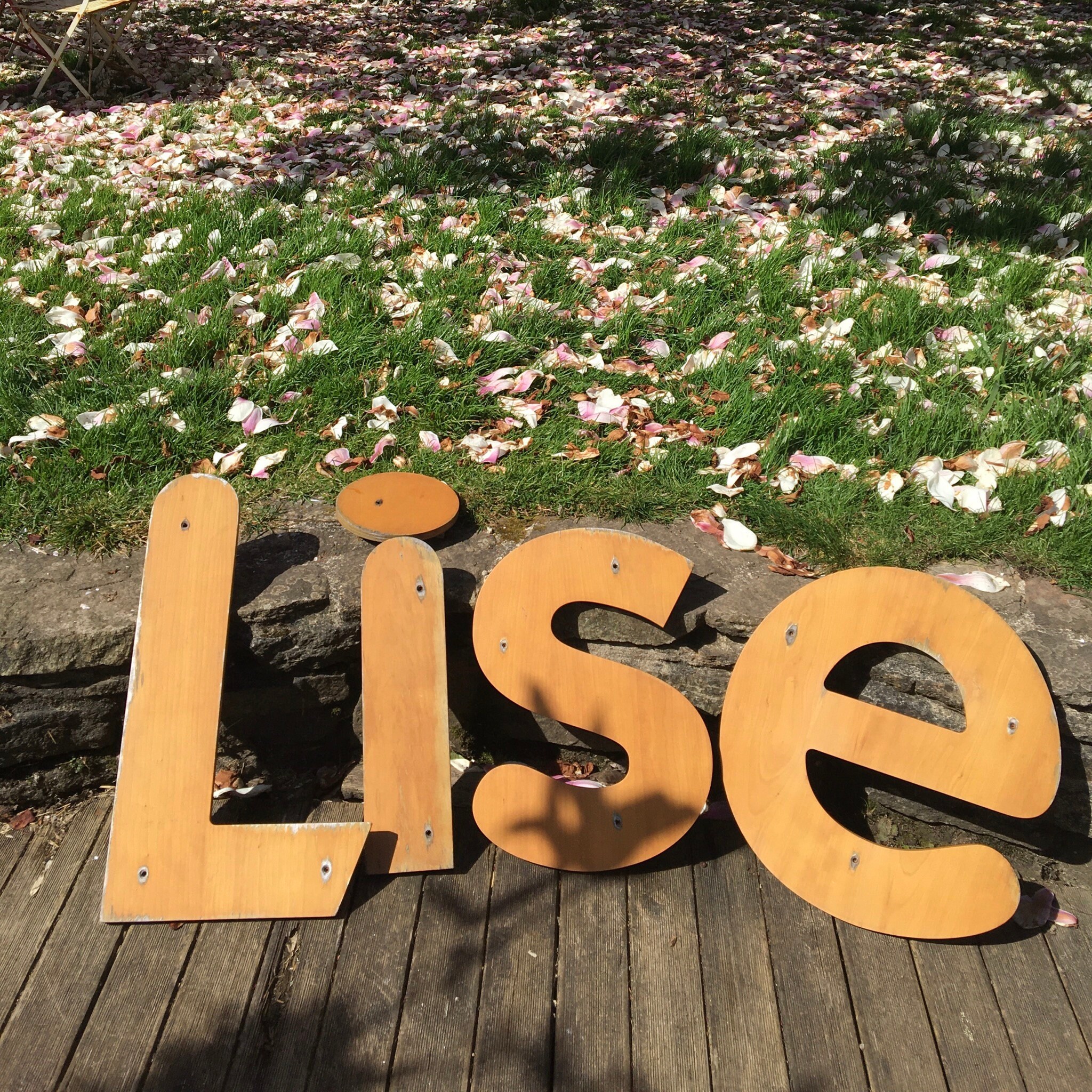 Anciennes Lettres d'enseigne en Bois