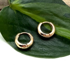 Gold Little Dome Huggie Earrings 12mm - Perfect Small Dome Gold Hoop Earrings - Gold Hinged Hoop - Lightweight - Goldfill