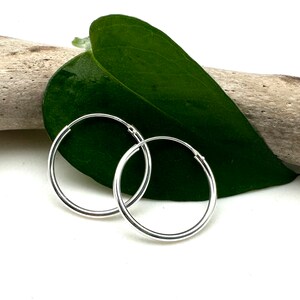 May include: A pair of silver hoop earrings on a green leaf and a piece of driftwood.