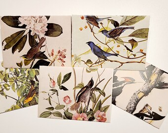 5 Vintage Bird Envelope Set Handmade Recycled DIY Mail Art Stationary Thank You Letter Invitation Upcycled Paper