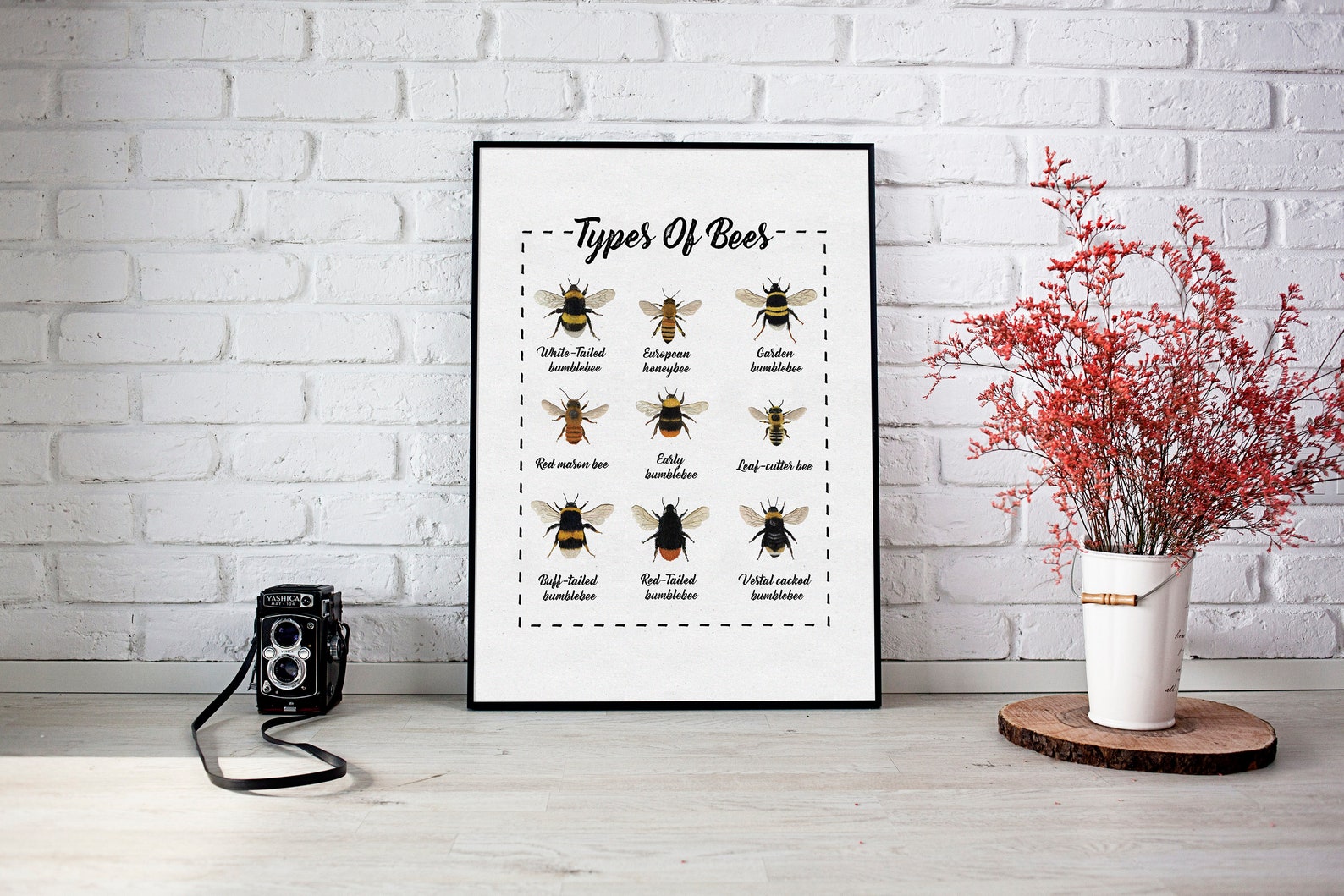 Types of Bees Poster JPG PNG and Image Ready for Print Etsy