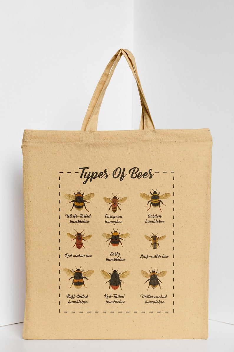 Types of Bees Poster JPG PNG and Image Ready for Print Etsy