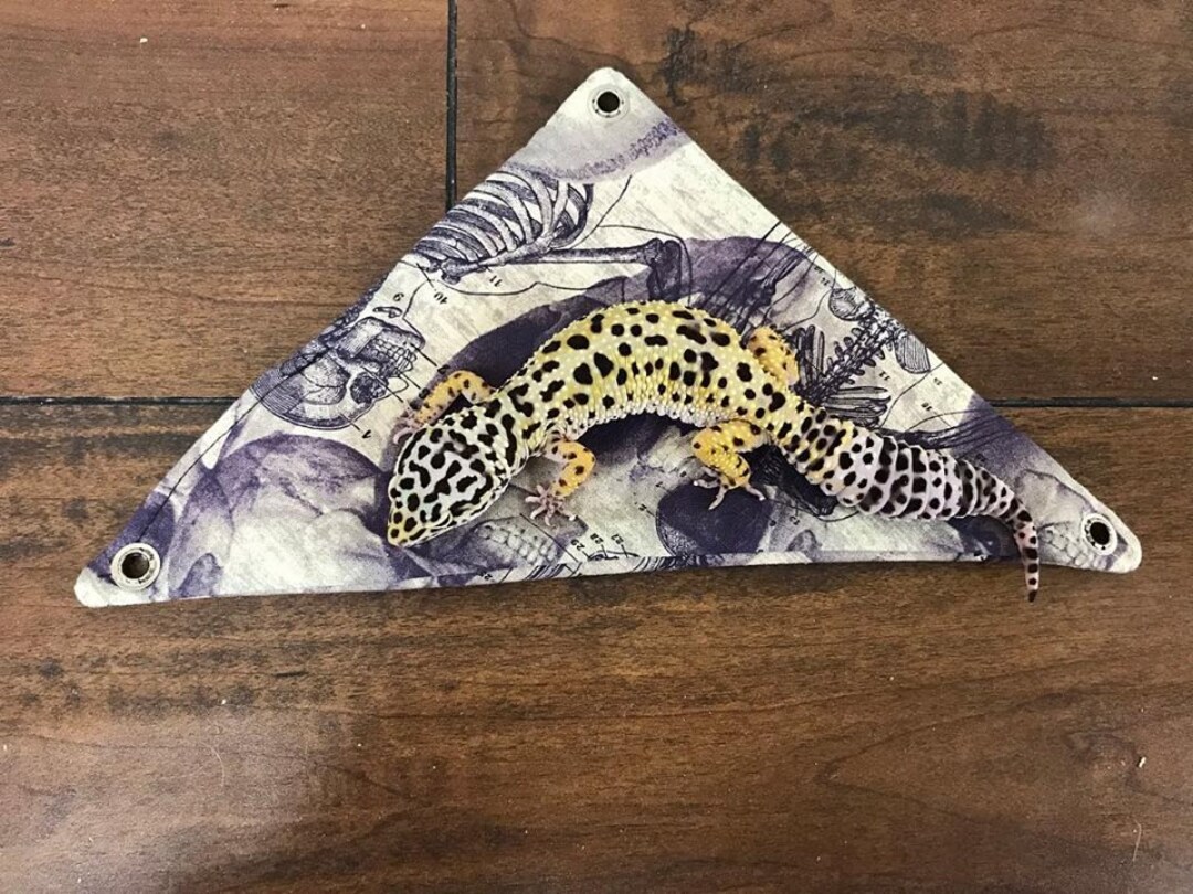 Small Reptile Hammock Etsy