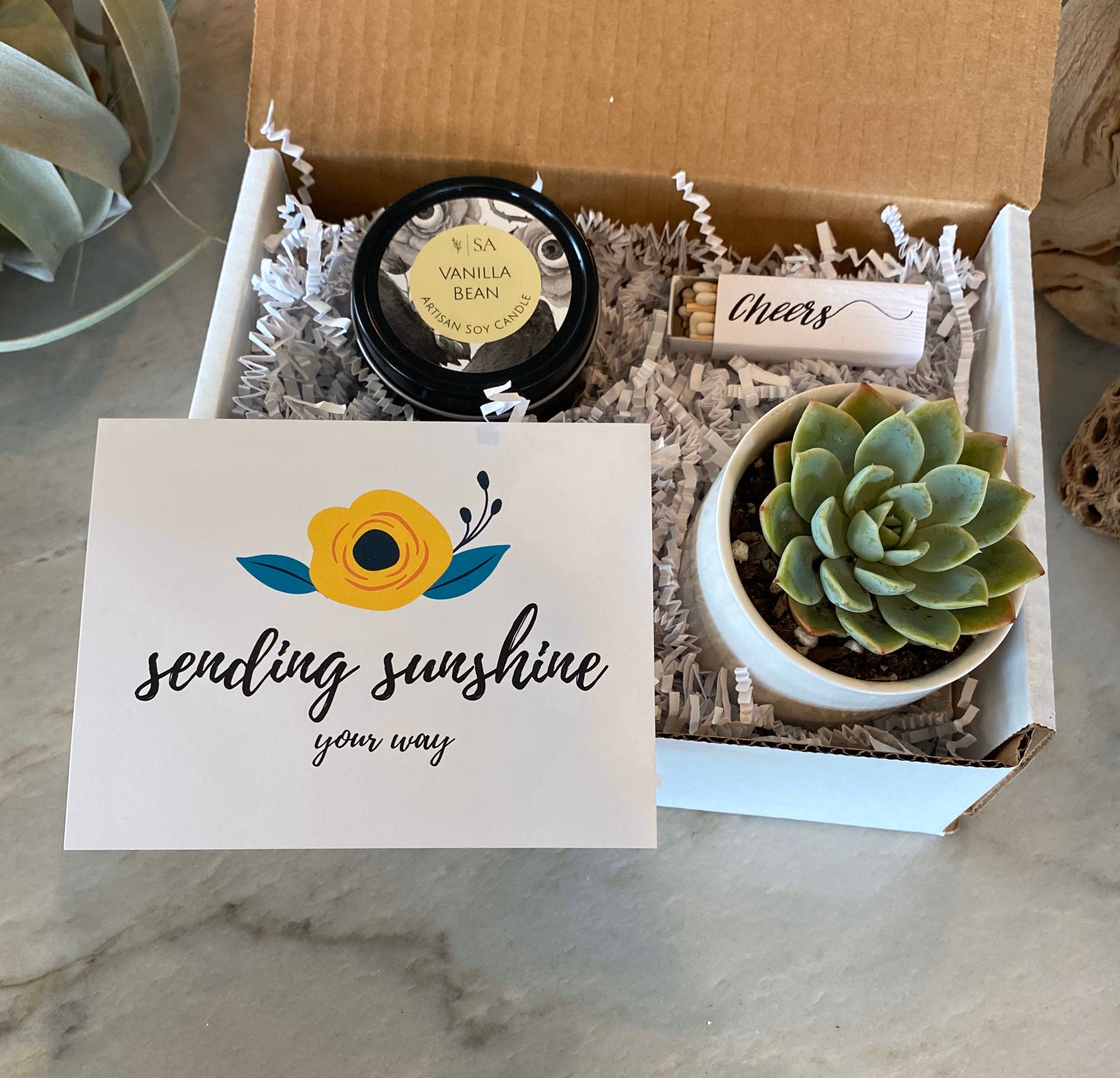 Succulent Plant Gift Box Sending Sunshine Any Occasion Friend Etsy