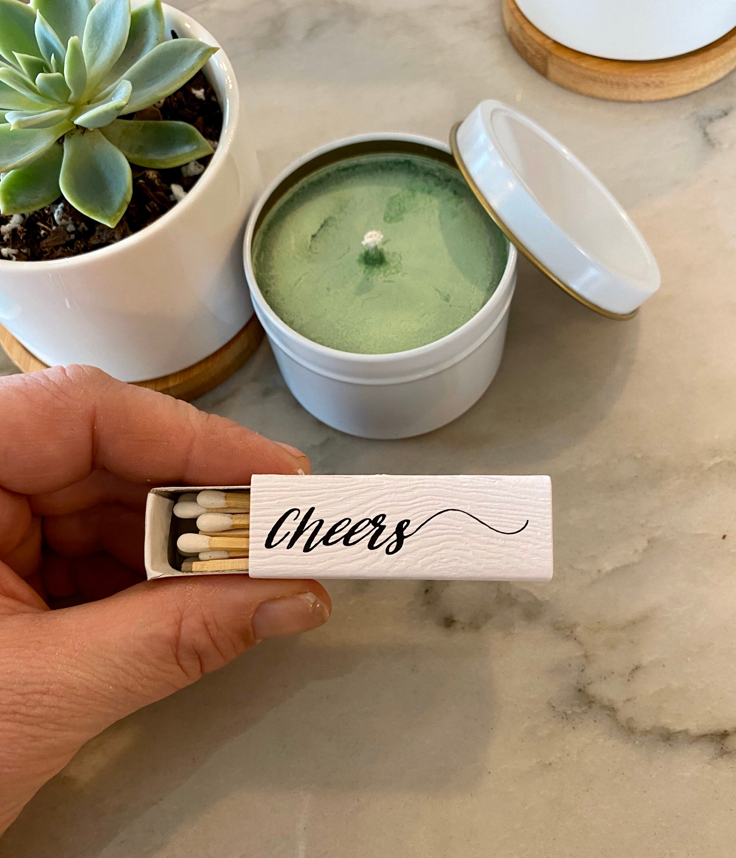 Gifts for Plant Lovers "Sending A Little Box Of Sunshine" Succulent