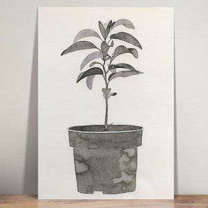 Orangen Pflanze - Stillleben - Illustration - Wand Kunst - Kunstdruck - Fineliner und Tusche - Home Dekor - Küchen Deko