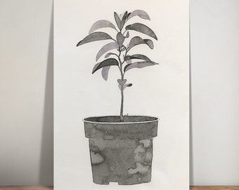 Planta de naranja - naturaleza muerta - ilustración - arte de pared - impresión artística - pluma y tinta - decoración del hogar - decoración de la cocina