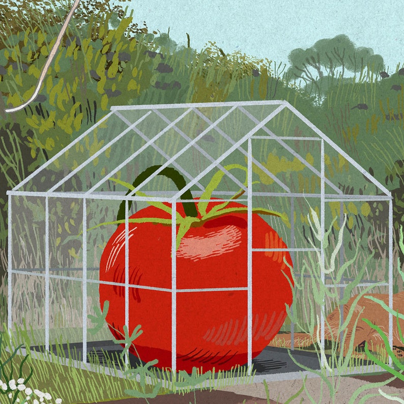 Monty Don Pop Art Sticker - 5 Inch Vinyl Decal For Cars, Laptops & Water Bottles