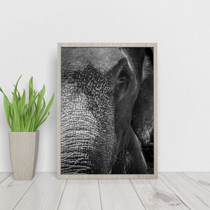 Elephant Wall Art Print, Black And White Elephant Photo, African Animals, Fine Art Prints, Large Canvas Wall Art, Africa Wall Decor image 8