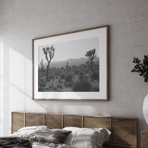 Joshua Tree California Photography, Wall Art Prints, Black And White Photograph, Large Stretched Canvas, Panoramic, Southwestern Home Decor image 3