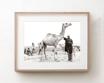 Camel Art Print, Black And White Photograph, Harar Ethiopia, Africa Photography, Animal Wall Art, Travel Photograph, Large Bedroom Canvas