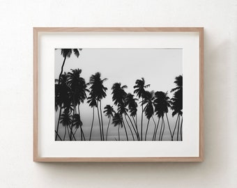 Palm Tree Wall Art, Black And White Palm Tree Photo, Palm Leaves Print, Palm Photography, Tropical Art Minimalist Poster Wall Decor