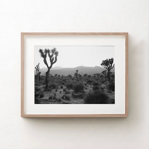 Joshua Tree California Photography, Wall Art Prints, Black And White Photograph, Large Stretched Canvas, Panoramic, Southwestern Home Decor image 1