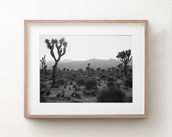 Joshua Tree California Photography, Wall Art Prints, Black And White Photograph, Large Stretched Canvas, Panoramic, Southwestern Home Decor