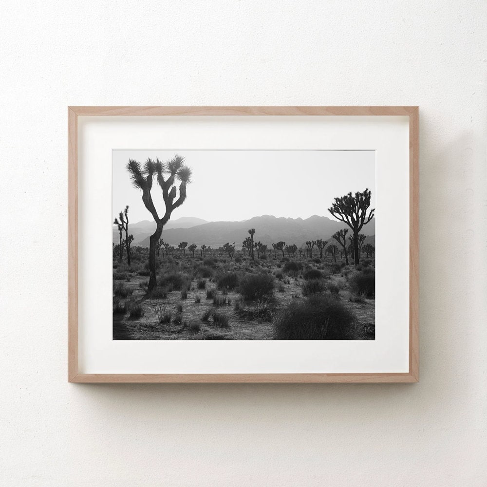 Joshua Tree Wall Art Prints Black and White Photography Etsy Canada