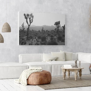 Joshua Tree California Photography, Wall Art Prints, Black And White Photograph, Large Stretched Canvas, Panoramic, Southwestern Home Decor image 4